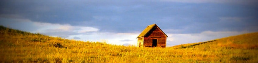 Alberta wildflower meadow landscape